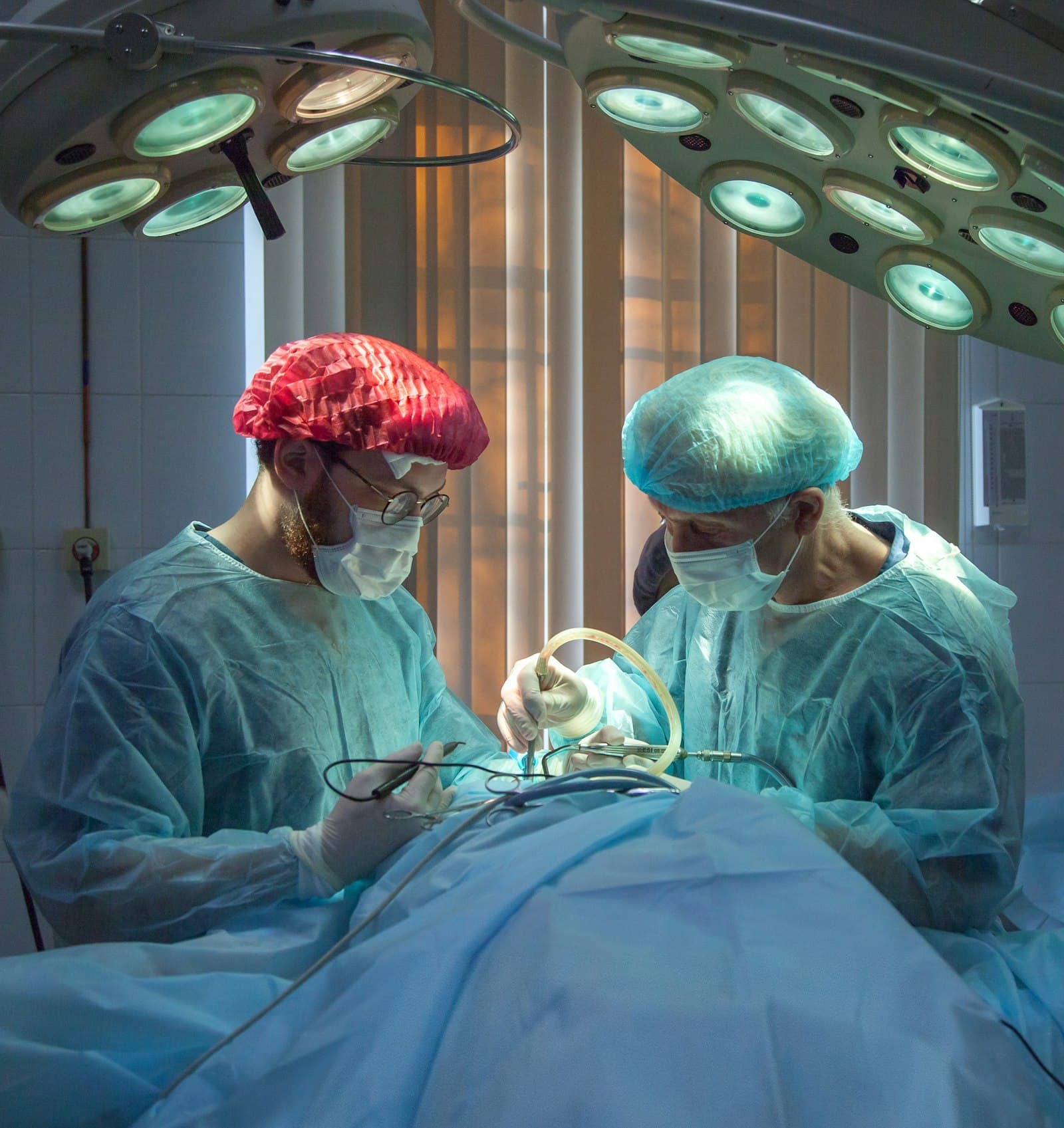 VetClinic image — 2